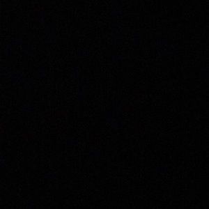 Meet your Posher, Tayler